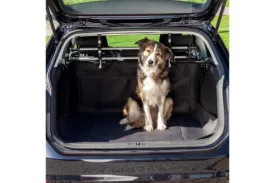 Dog - Car boot cover, 1.20 × 1.50 m, black