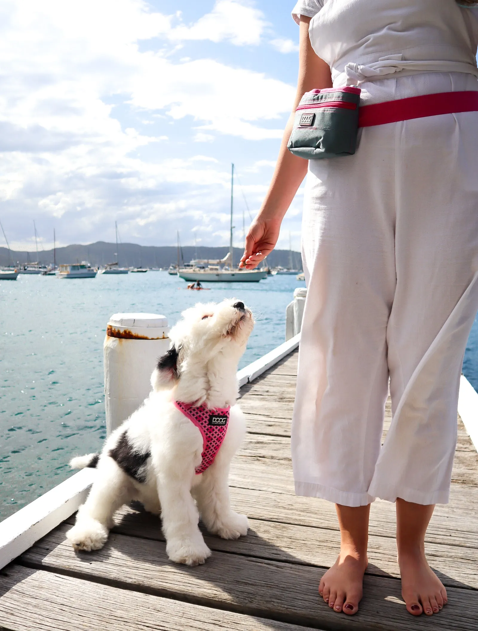 DOOG Treat & Training Pouch (Patterns)