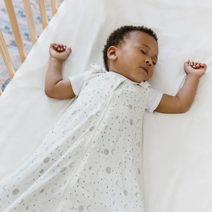 Ergobaby On the Move Toddler Sleeping Bag