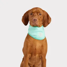 Ice Band® | Dog Cooling Bandana | Aqua
