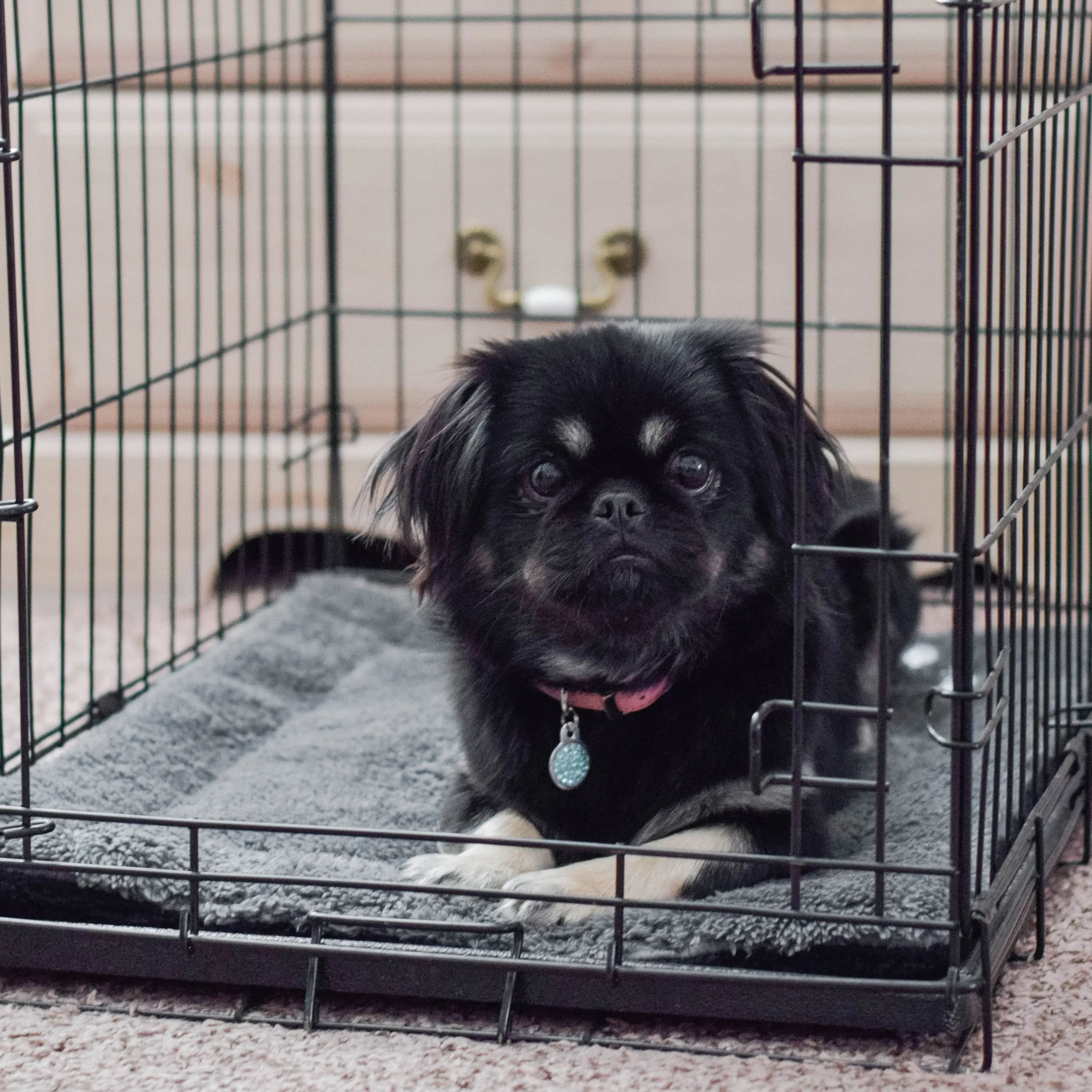 K&H Self-Warming Pet Pad
