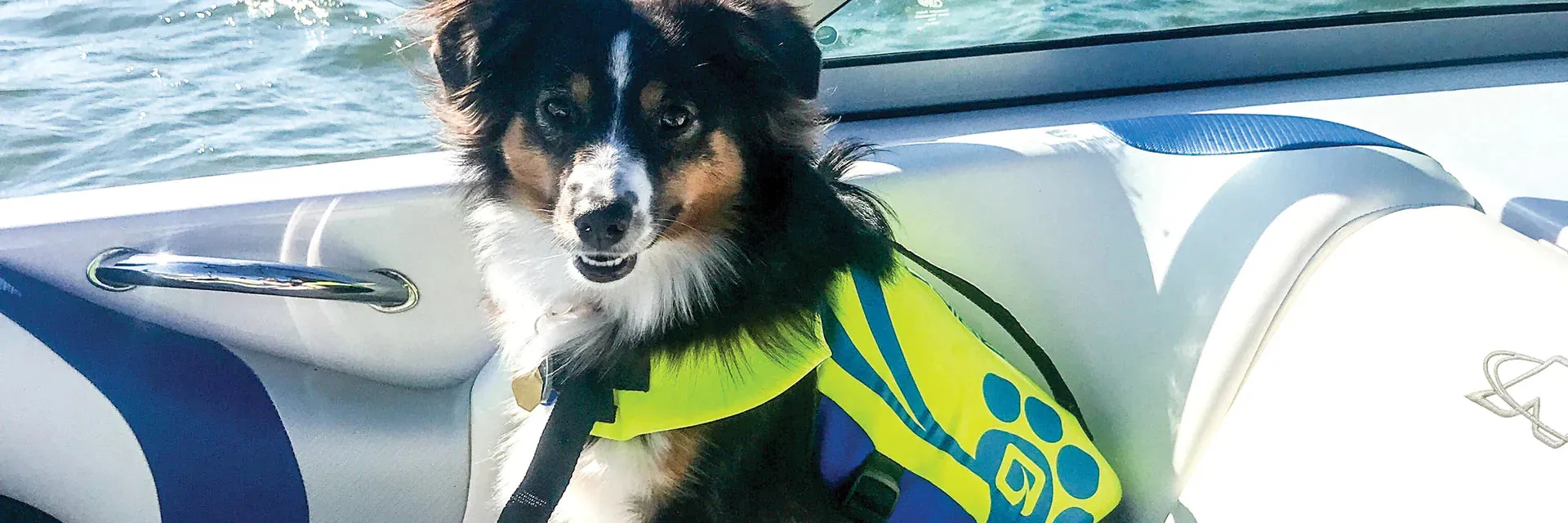 Margaritaville Pet Vest
