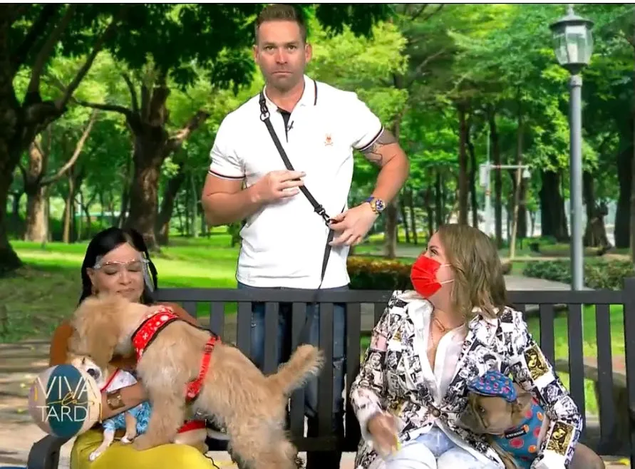 MULTI-ADVENTURE  DOG LEASH