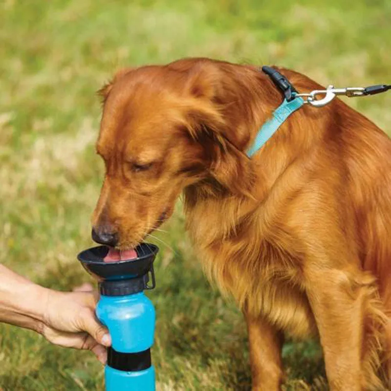 Pet Portable Water Dispenser