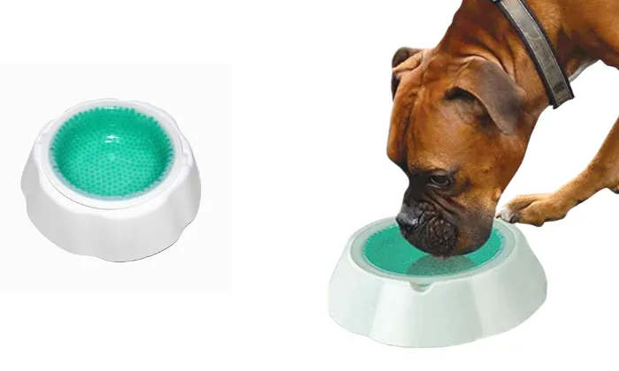 Summer Pet Bowl