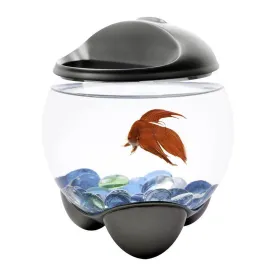 Tetra Betta Bubble Bowl Aquarium Kit 0.5 Gallons